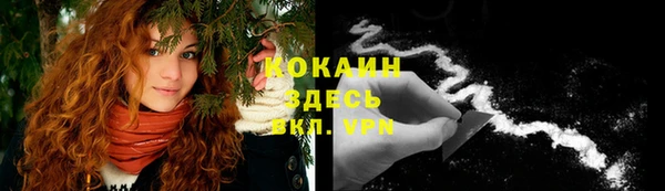 ешки Арсеньев