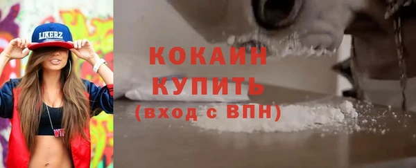 ешки Арсеньев